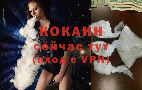 ГАЛЛЮЦИНОГЕННЫЕ ГРИБЫ Нея