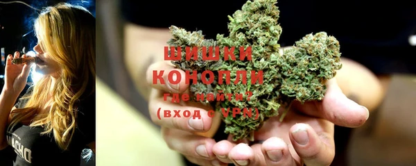 ГАЛЛЮЦИНОГЕННЫЕ ГРИБЫ Нея