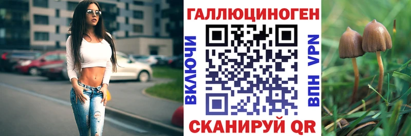 Купить закладки  Усть-Илимск  Галлюциногенные грибы прущие грибы 